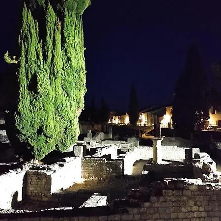 Y Here Vaison-la-Romaine